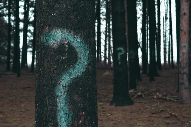 Some trees painted with question mark sign